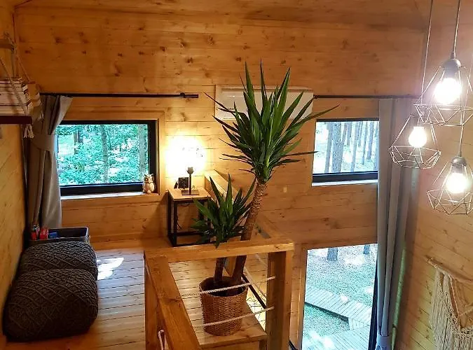 Tree Olszanka Διαμέρισμα *