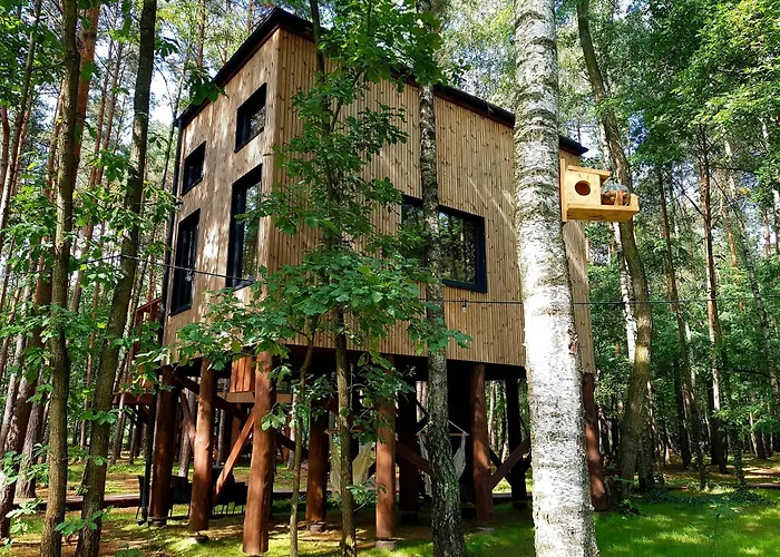 Tree Olszanka * Puszcza Marianska