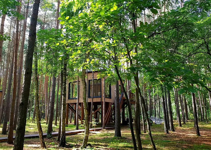 Tree Olszanka Διαμέρισμα *