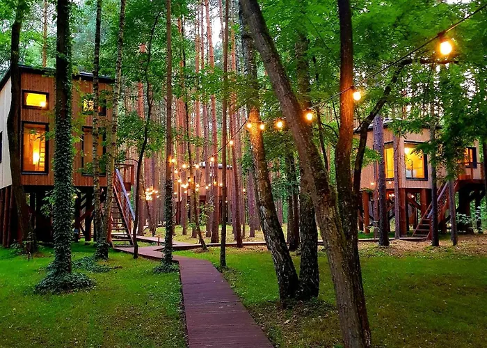 Tree Olszanka Puszcza Marianska