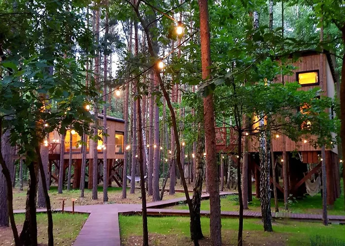 Tree Olszanka Puszcza Marianska