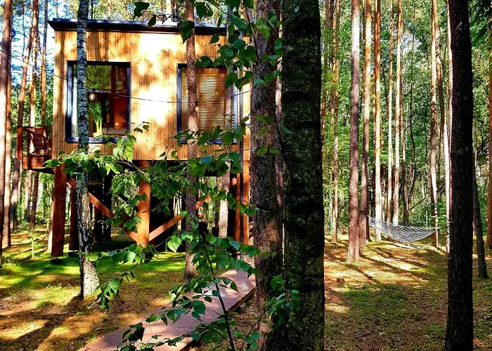 Tree Olszanka * Puszcza Marianska