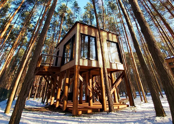 Tree Olszanka Διαμέρισμα Puszcza Marianska