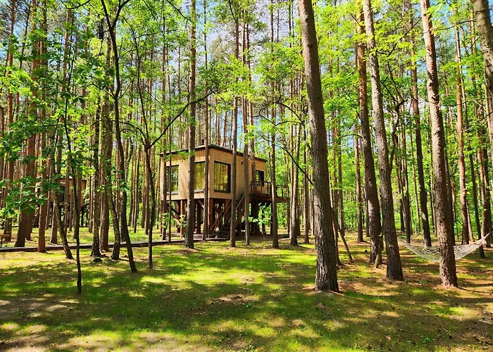 Tree Olszanka Διαμέρισμα *