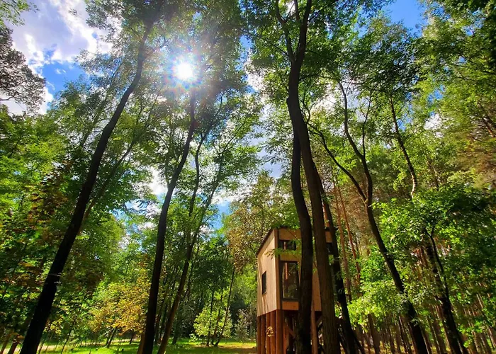 Tree Olszanka Διαμέρισμα *