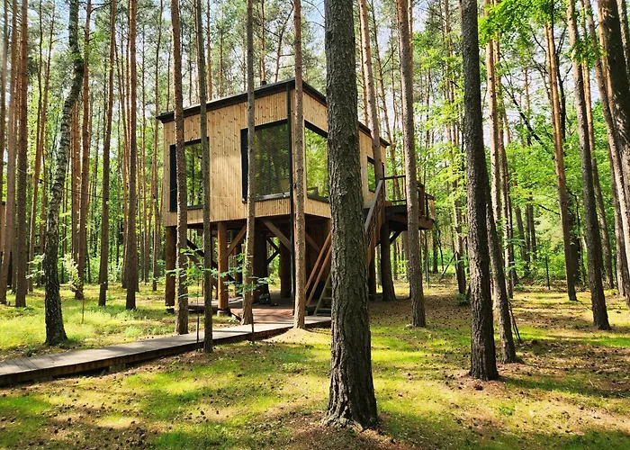 Tree Olszanka Διαμέρισμα