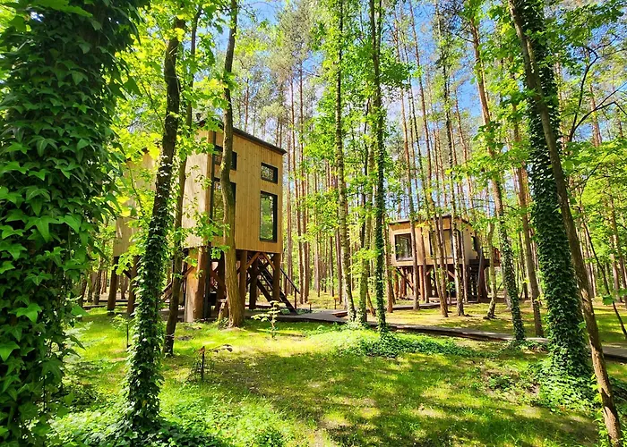 Διαμέρισμα Tree Olszanka *