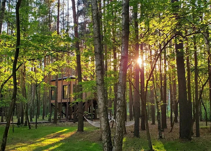 Tree Olszanka Puszcza Marianska