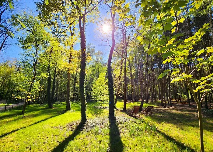 Tree Olszanka Διαμέρισμα