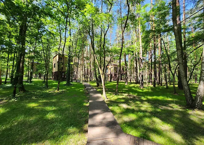 Διαμέρισμα Tree Olszanka *