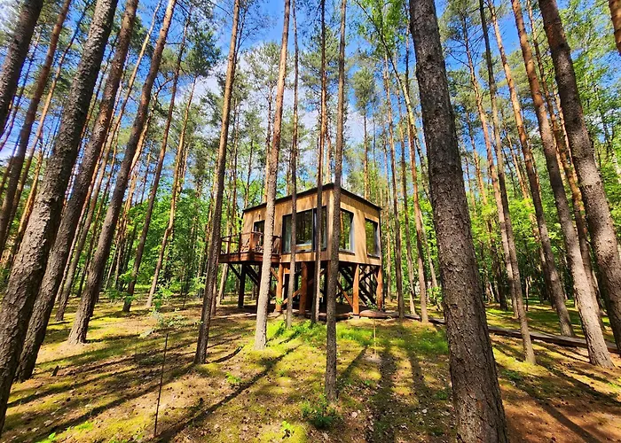 Tree Olszanka Διαμέρισμα *