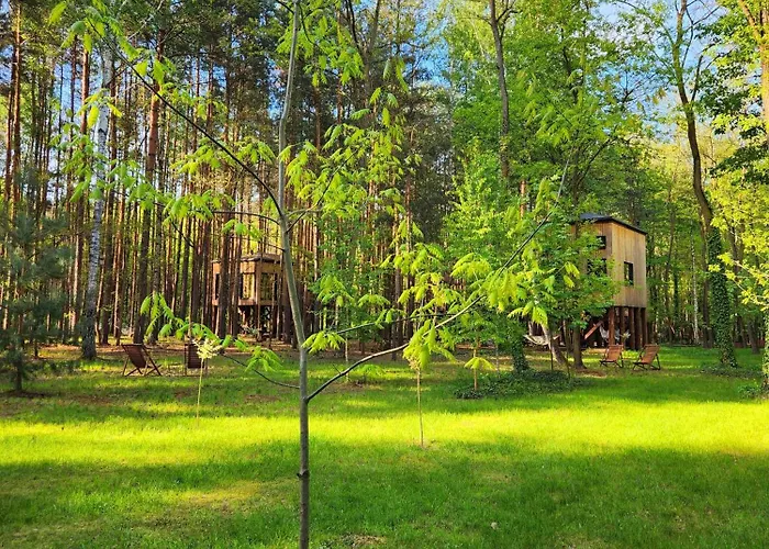 Tree Olszanka Διαμέρισμα *